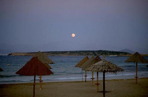 Surfing Beach Huts Santa Maria  Exterior foto